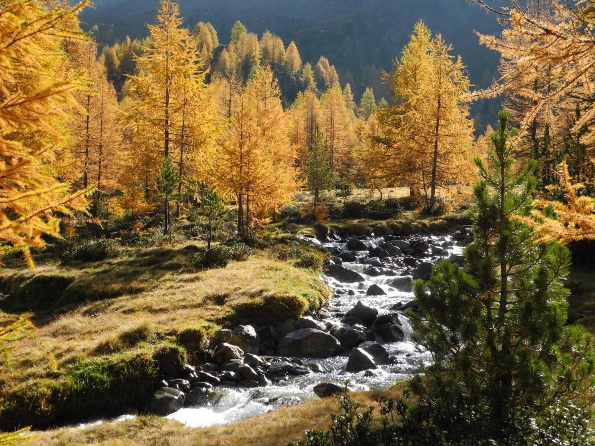 Pension Florian Burgusio Exteriér fotografie