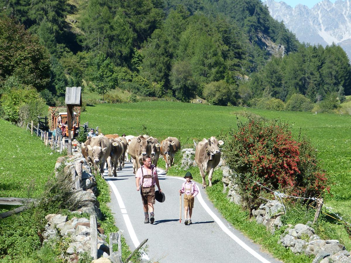 Pension Florian Burgusio Exteriér fotografie